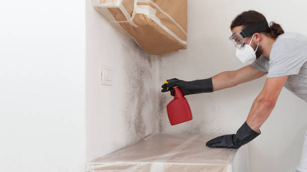 Professional Bathroom Mold Removal technician working in Norfolk, VA