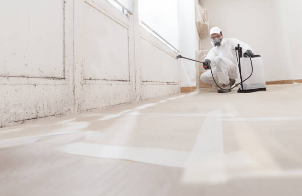 24/7 Emergency Bathroom Mold Removal experts in Norfolk, VA