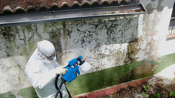 Top rated local Bathroom Mold Removal specialists in Norfolk, VA